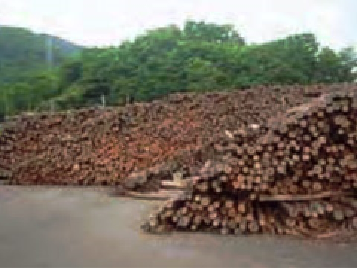 Woody biomass (North Nippon Works Kamaishi area)