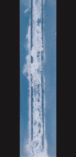 ZAM®-EX/1,000h