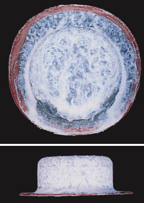 ZAM®-EX/1,000h