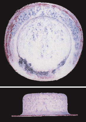 ZAM®-EX/2,000h