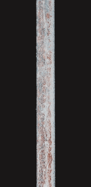 ZAM®-EX/3个月后