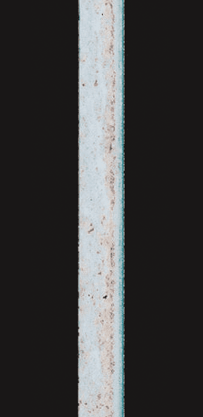 ZAM®-EX/6个月后