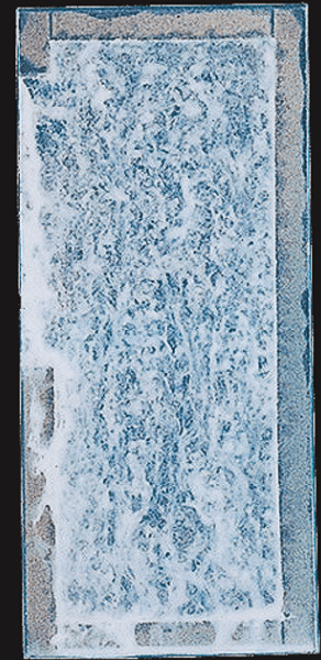 ZAM®-EX/1,200h