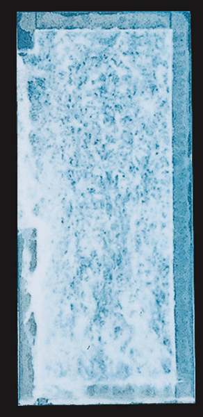 ZAM®-EX/2,500h
