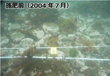/news/img/20190603_100.jpg