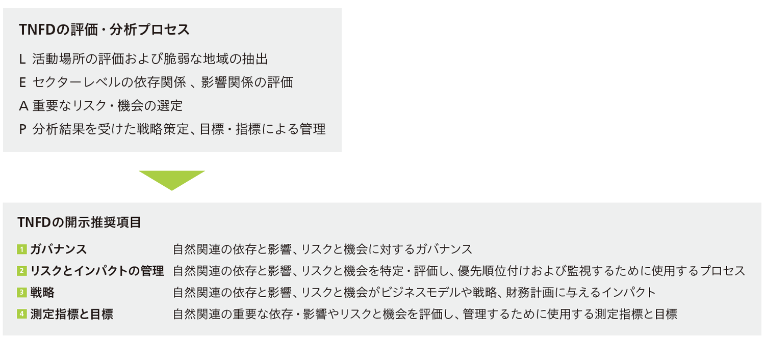 TNFD最終提言に沿った開示アプローチ