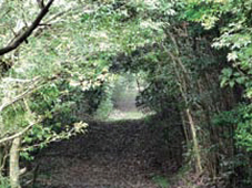 郷土の森（東日本製鉄所 鹿島地区）