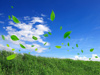 Consideration to Reducing Environmental Impact in Procurement Activities
