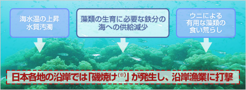 現状の海域環境