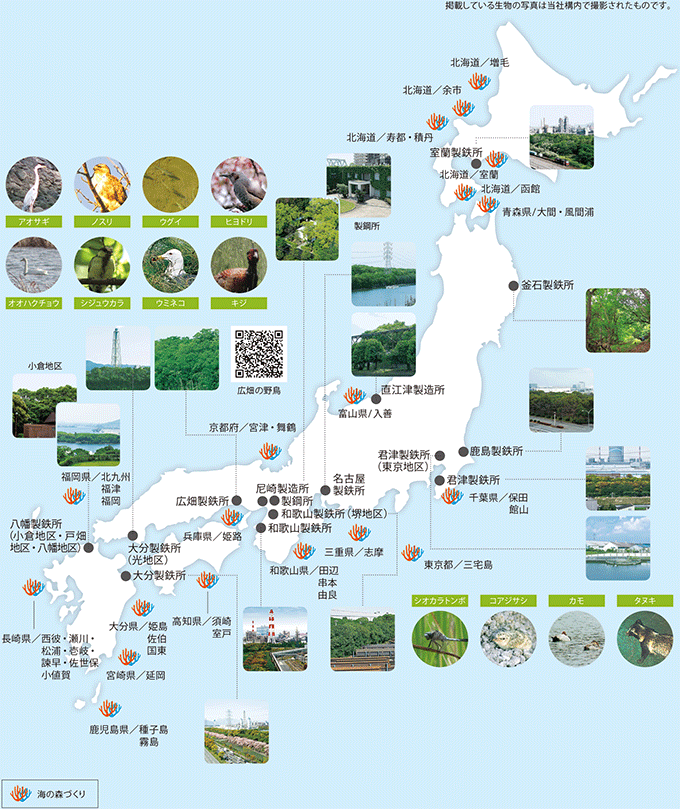 「海の森づくり」における藻場再生の取り組み実施海域