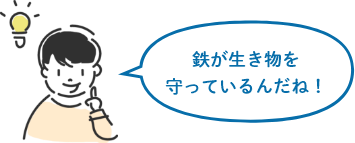 鉄が生き物を守っているんだね!