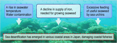 Present marine water environment