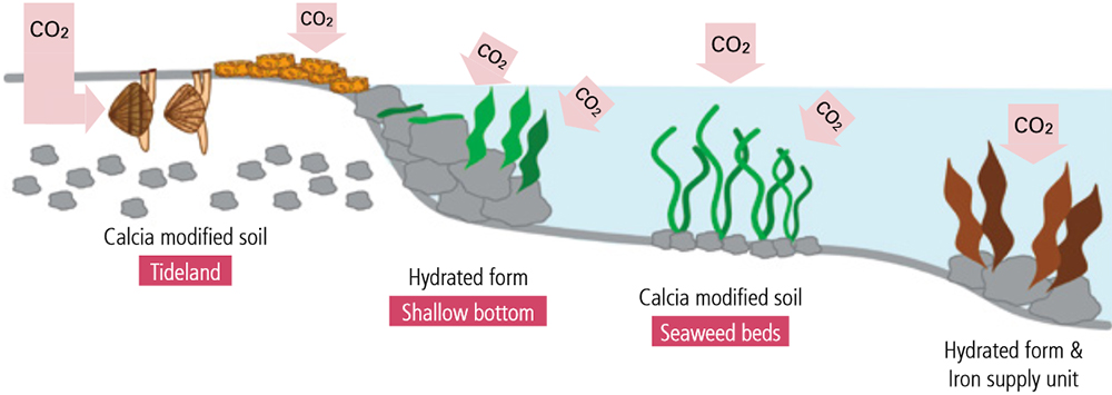Use of steel slag to improve coastal environment and to fix CO2