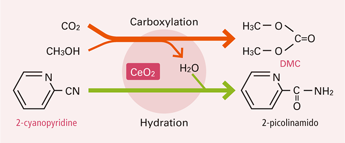 Reaction formula to synthesize DMC from CO2