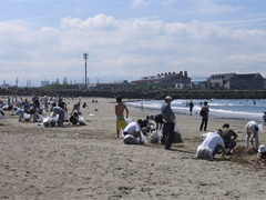 Cleaning of Isonoura beach