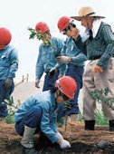 Tree planning by new employees