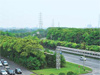 Creation of “Hometown Forests”