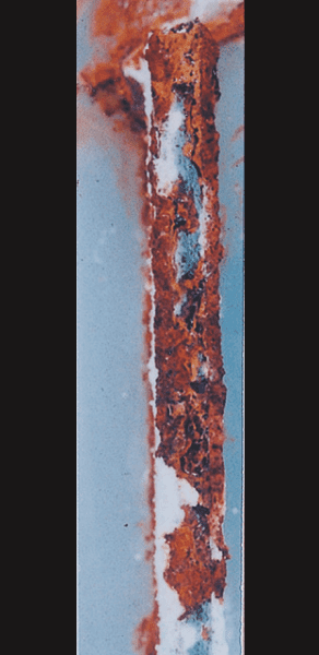 55% Al-Zn alloy coated steel/1,000h