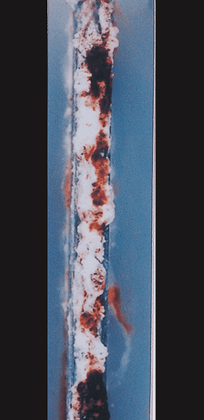Zn-5% Al alloy coated steel/5,000h