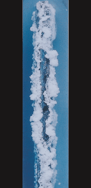 Galvanized steel/Lapse of time:100h