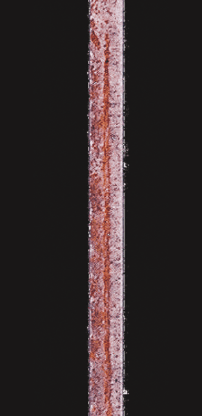 55% Al-Zn alloy coated steel/Lapse of time: After 2 weeks