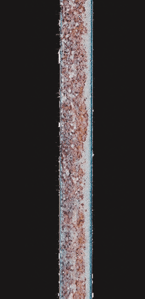 Galvanized steel/Lapse of time: After 2 weeks