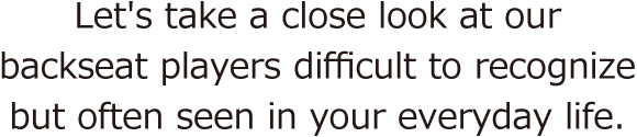 Let's take a close look at our backseat players difficult to recognize but often seen in your everyday life.