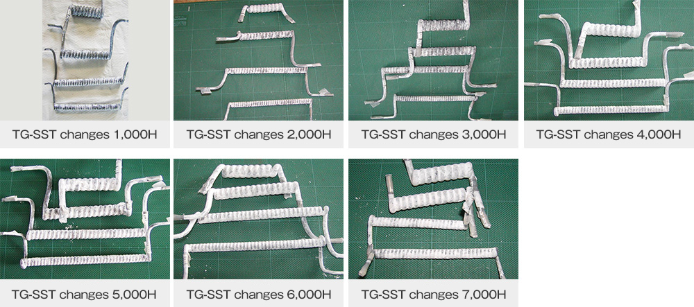 TG-SST changes 1,000H / TG-SST changes 2,000H / TG-SST changes 3,000H / TG-SST changes 4,000H / TG-SST changes 5,000H / TG-SST changes 6,000H /TG-SST changes 7,000H