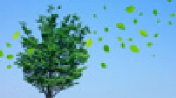 Environmental education