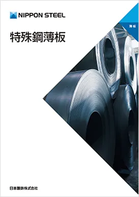 普通鋼・特殊鋼 NAK55 切板 板厚 19mm　100mm×900mm フライス加工品 NAK80 - 6F 寸切販売 ｜金属材料通販