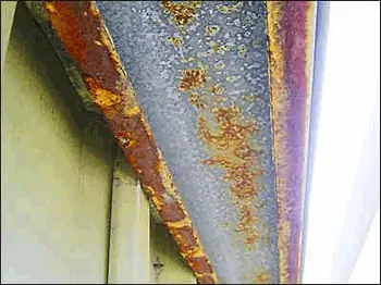 裏側を覗いてみると……ウワッ！