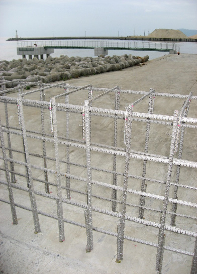 Stainless reinforcing bar for seaside