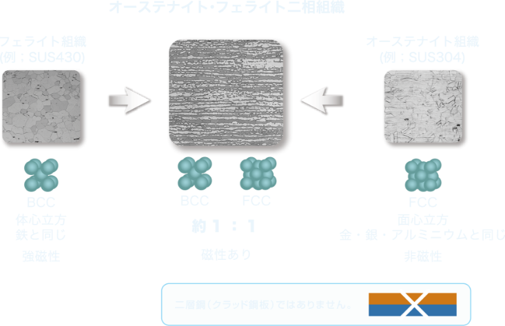 オーステナイト・フェライト二層組織