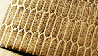 makoブランド：東洋ステンレス研磨工業×日本製鉄のデザイニングチタン“TranTixxii” [トランティクシー]によるコラボレーション「特殊意匠」