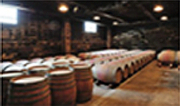 ワイン製造所