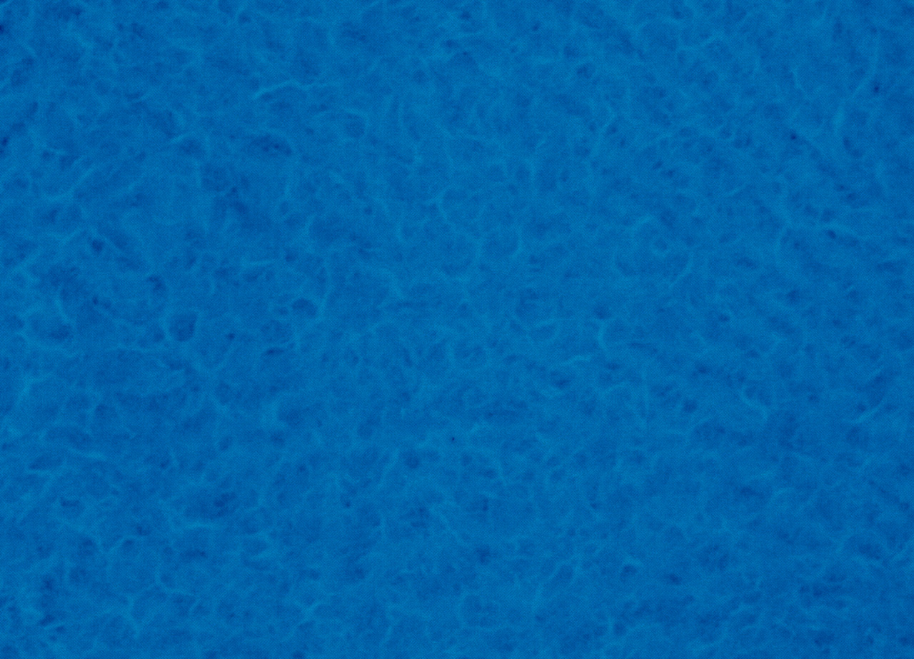 ZAMについて－ZAM
