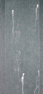 塩水噴霧試験後の外観 : ZG処理