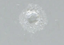 スポット溶接部 : ZAM®ZP処理