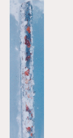 100h後 溶融55% Al-Zn 合金めっき