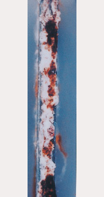 5000h後 溶融Zn-5％Al 合金めっき