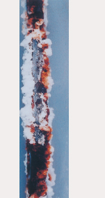 1000h後 溶融Zn めっき