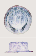 1,000h後 溶融Zn-5％Al 合金めっき