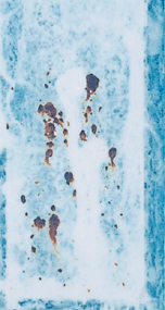 2500h後 溶融Zn-5％Al 合金めっき