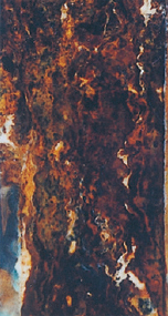 2500h後 溶融Zn めっき