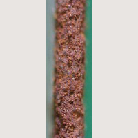 2t曲げ加工部 溶融55% Al-Zn 合金めっき AZ150 有機系クロメート処理