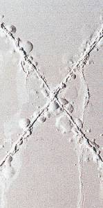 SST 500h ZAM 溶融Znめっき 90/90 g/㎡ 無処理