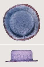 120サイクル ZAM®