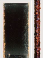 120サイクル ZAM®