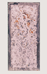 1000h後 後メッキ(HDZ55)  板厚2.3mm 560/560 g/m2