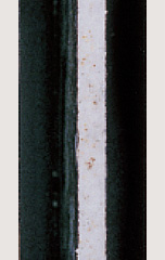 1000h後 ZAM®板厚2.3mm 90/90 g/m2